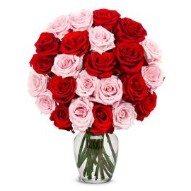 Belek Florist 24 rosa und rote Rosen in Vase
