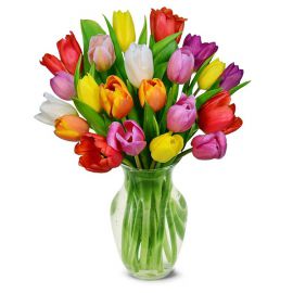  Belek Blumenlieferung 20 bunte Tulpen in Vase