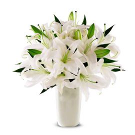 Belek Florist White Lilies in Vase